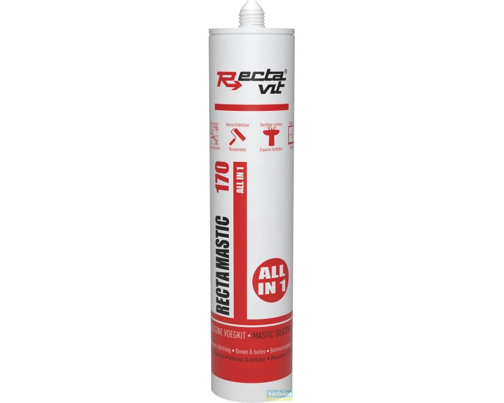 Recta-Mastic 170 All In 1 - 310 ml - Wit - 1