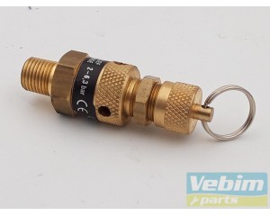 Relief valve with pull ring - 1